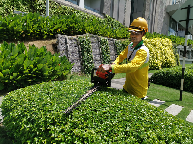 Landscape Maintenance